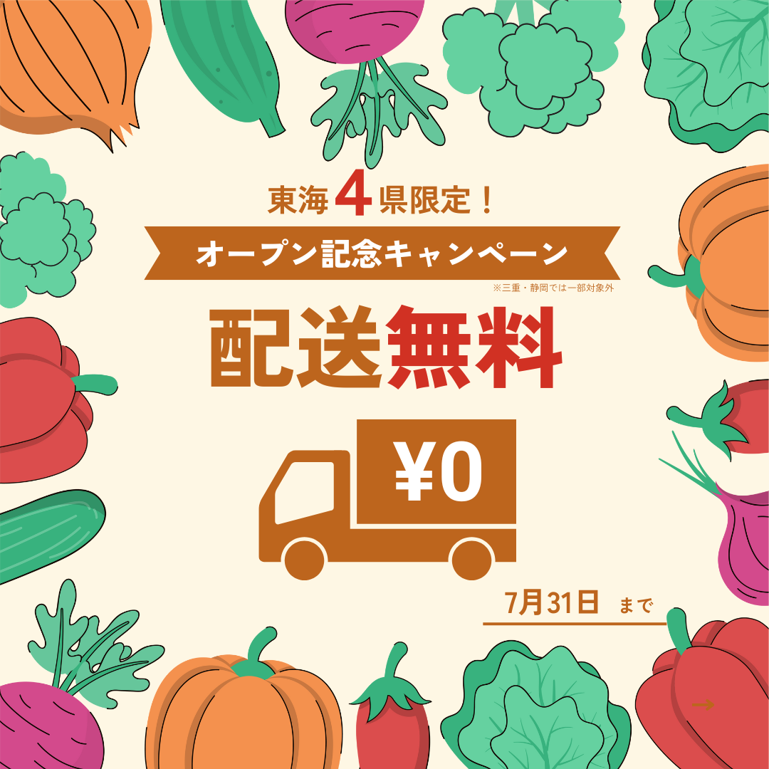 送料無料キャンペーン実施中